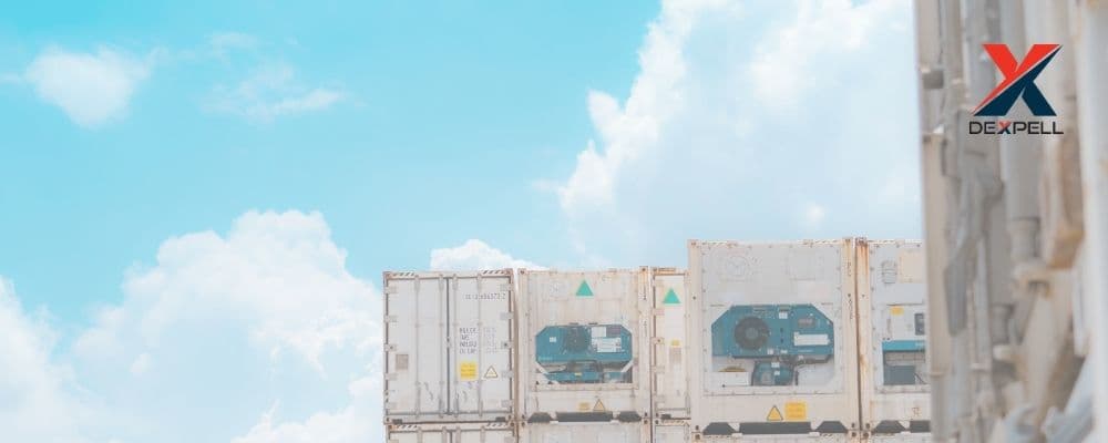 Cold Chain Logistics