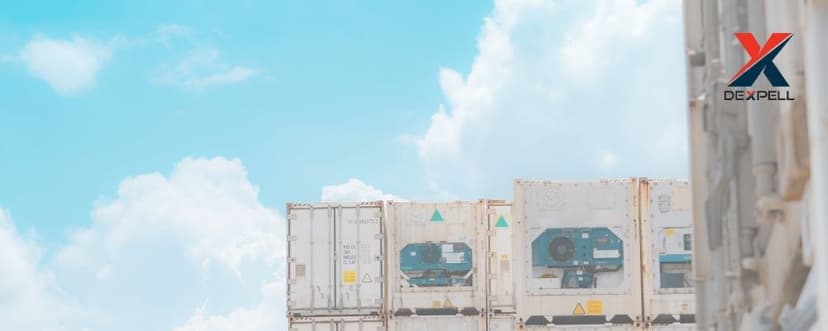 Soğuk Zincir Lojistiği